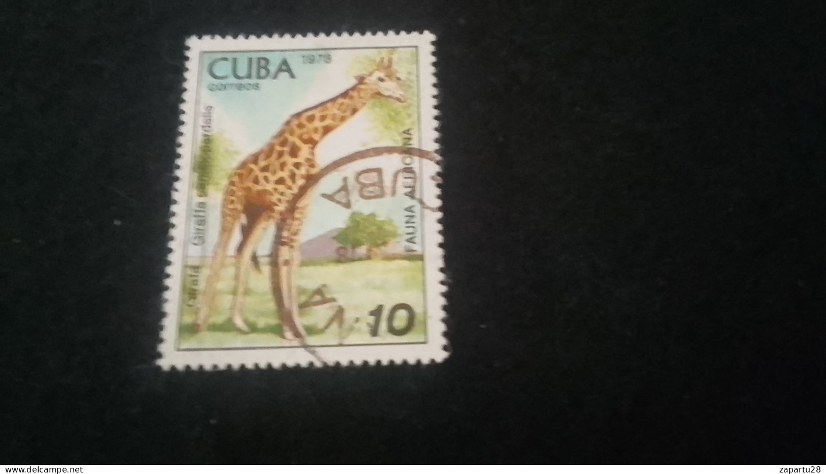 CUBA- 1980-90   10  C.     DAMGALI - Oblitérés