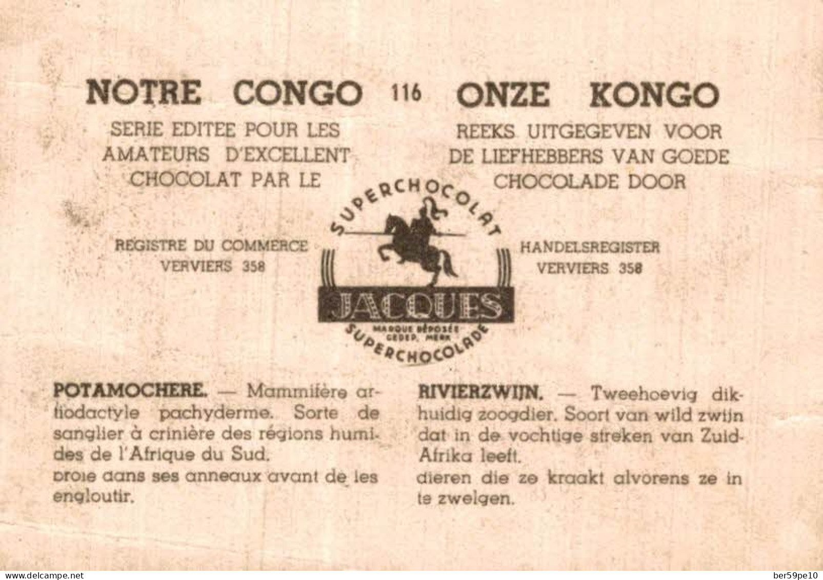 CHROMO SUPER CHOCOLAT JACQUES NOTRE CONGO N°116 PATAMOCHERE - Jacques