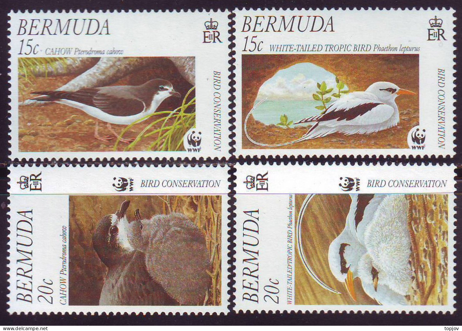 BERMUDA - WWF  BIRDS  - **MNH - 2001 - Pigeons & Columbiformes