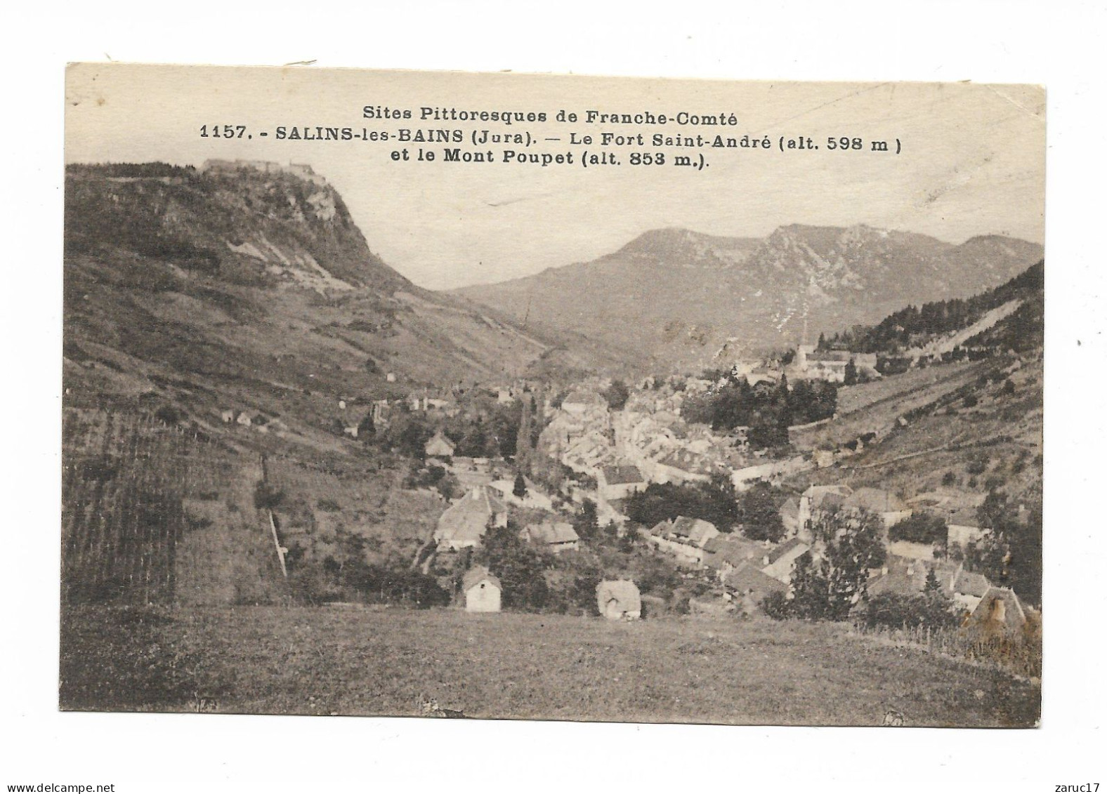 Carte Postale Sites Pittoresqde Franche Comté SALINS LES BAINS  1929 FORT Saint André MONT POUPET - Franche-Comté