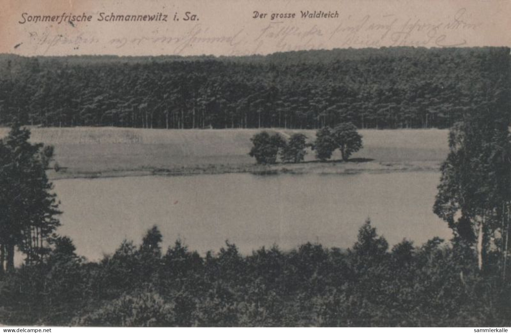 94874 - Dahlen-Schmannewitz - Der Grosse Waldteich - Dahlen