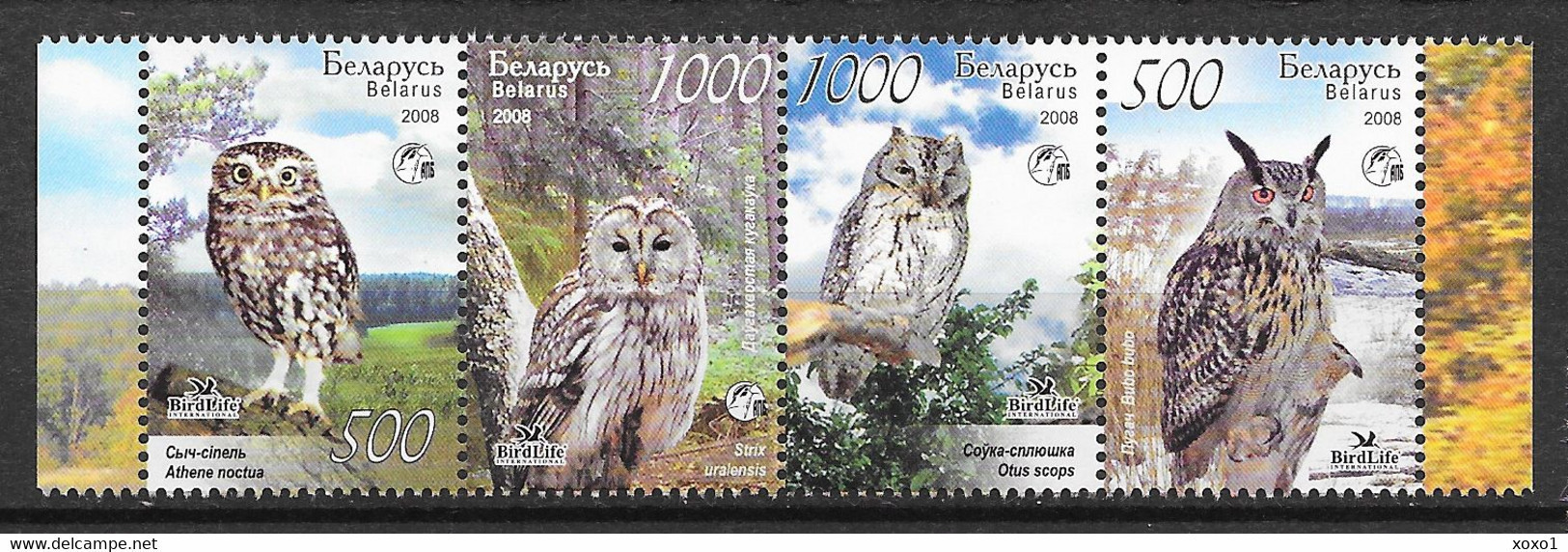 Belarus 2008 MiNr. 750 - 753 Weißrußland Owls II BIRDS BirdLife 4v MNH** 3,00 € - Hiboux & Chouettes