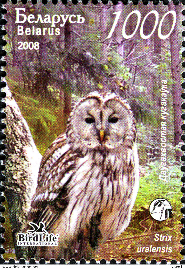 Belarus 2008 MiNr. 750 - 753 Weißrußland Owls II BIRDS BirdLife 4v MNH** 3,00 € - Hiboux & Chouettes