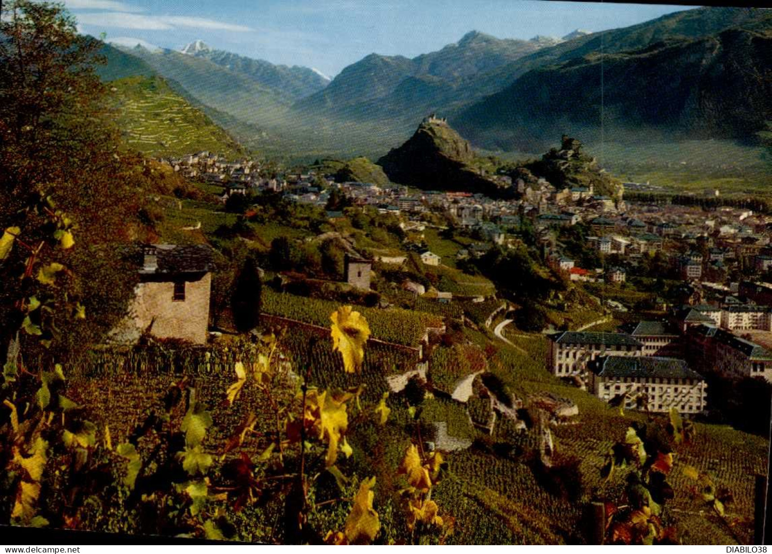 SION    ( SUISSE )   VIGNOBLE ET VILLE DE SION - Sion