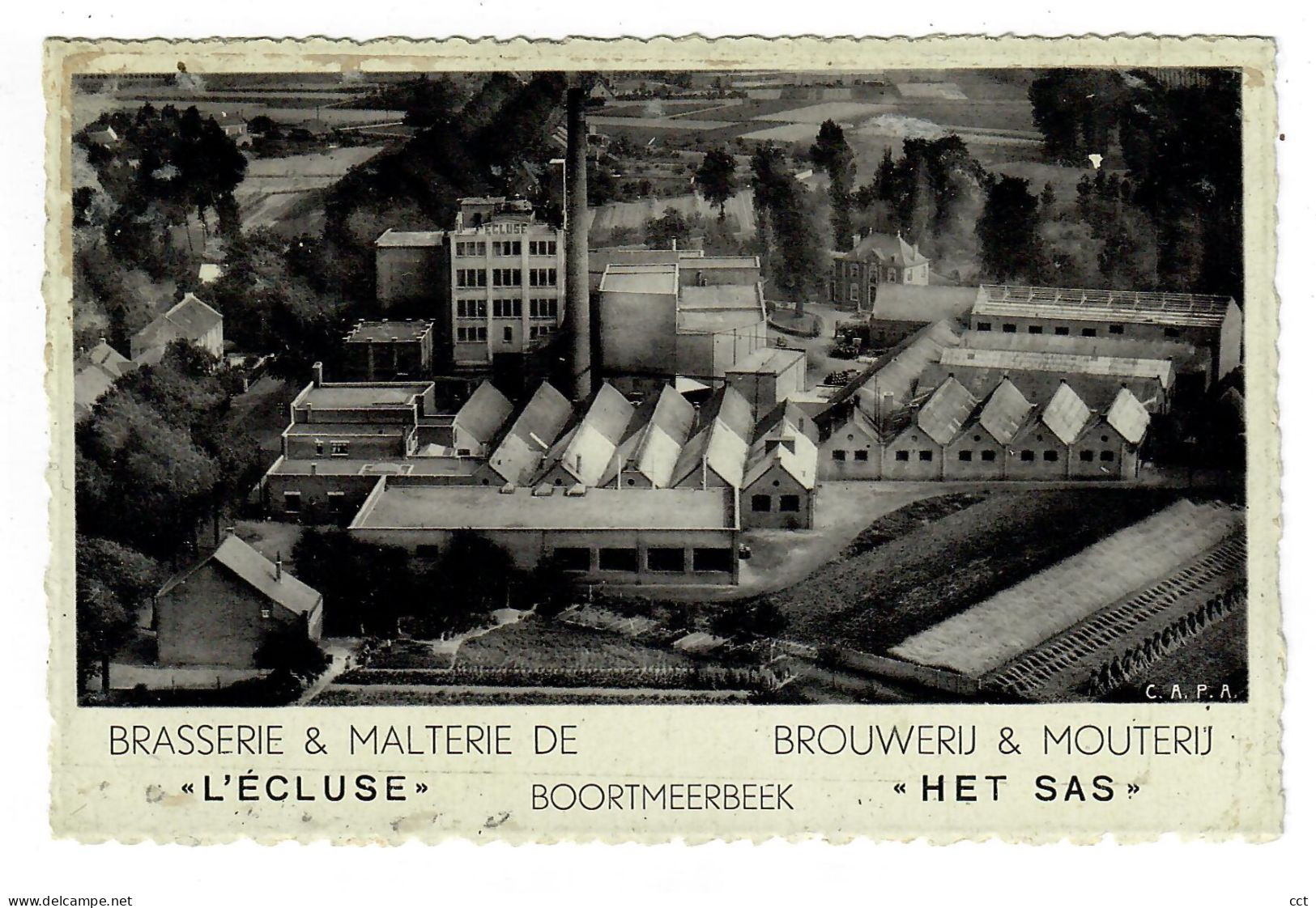 Boortmeerbeek    Brasserie & Malterie De L'Ecluse  Brouwerij & Mouterij Het Sas - Boortmeerbeek