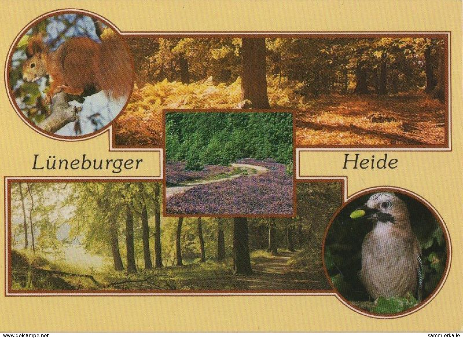 34633 - Lüneburger Heide - Mit 5 Bildern - Ca. 1990 - Lüneburger Heide