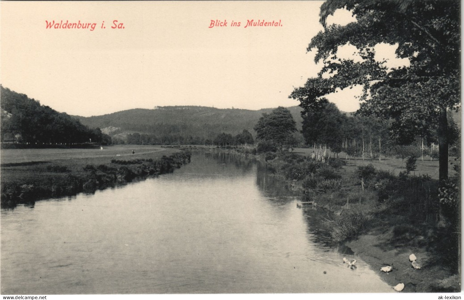 Ansichtskarte Waldenburg (Sachsen) Blick Ins Muldental 1913 - Waldenburg (Sachsen)