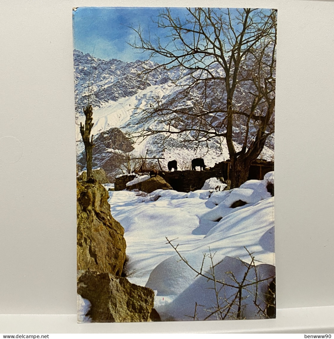 KACHORA LAKE (Skardu),  Pakistan Postcard - Pakistan