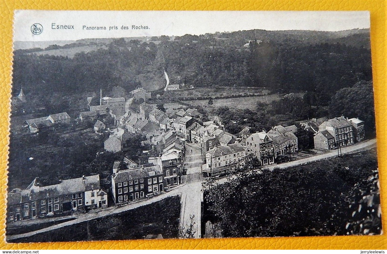 ESNEUX  -  Panorama Pris Des Roches - Esneux