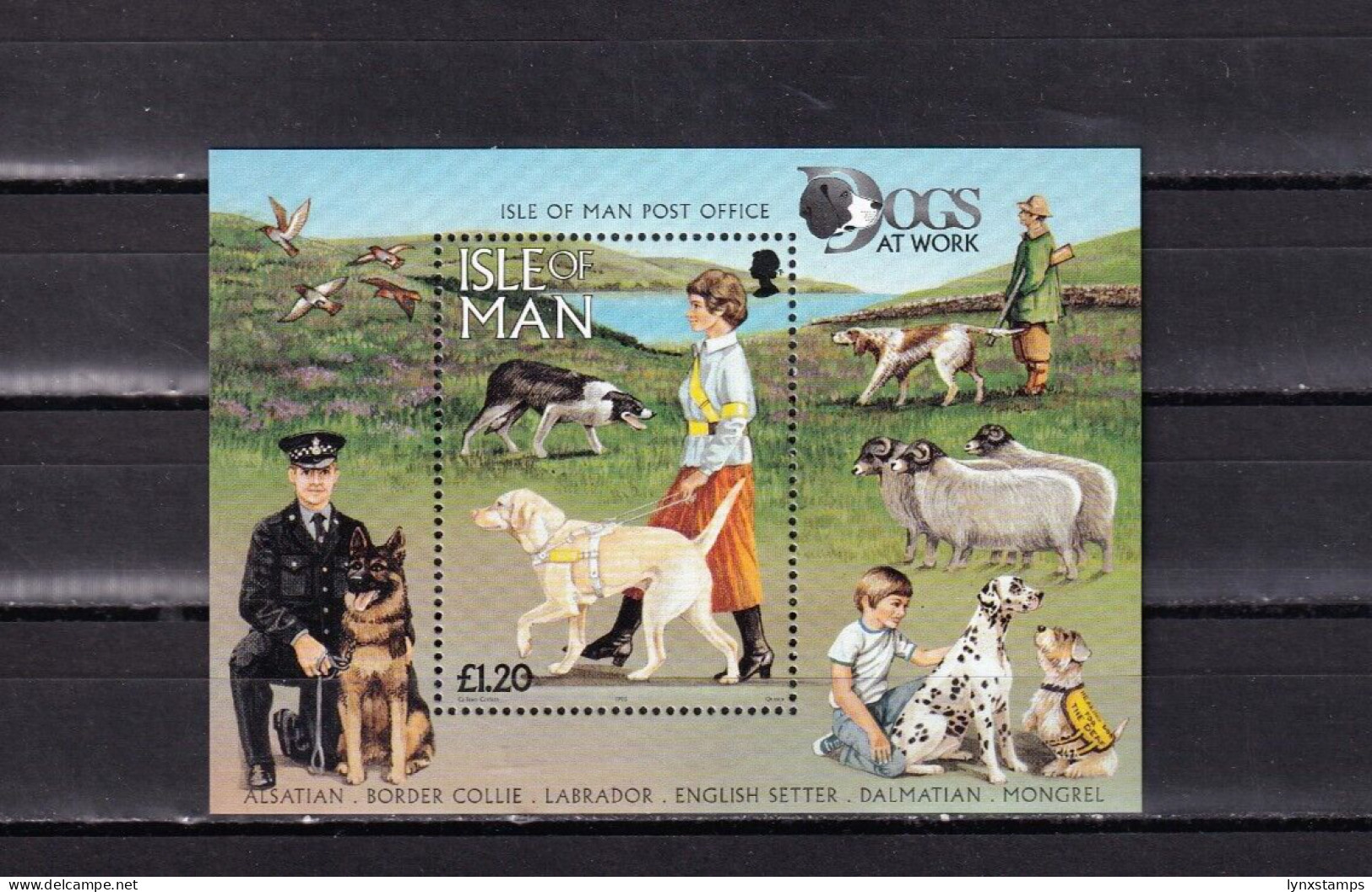 SA04 Great Britain Isle Of Man 1996 Dogs Minisheet - Emisiones Locales