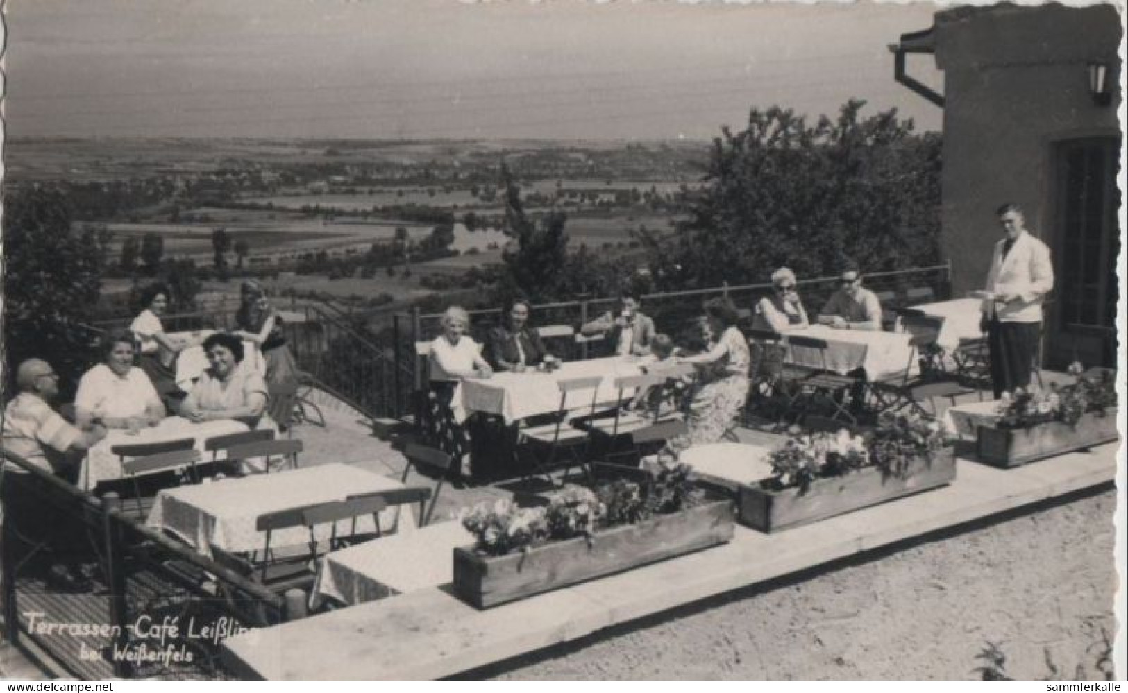 71308 - Weissenfels - Terrassen-Cafe Leissling - 1958 - Weissenfels