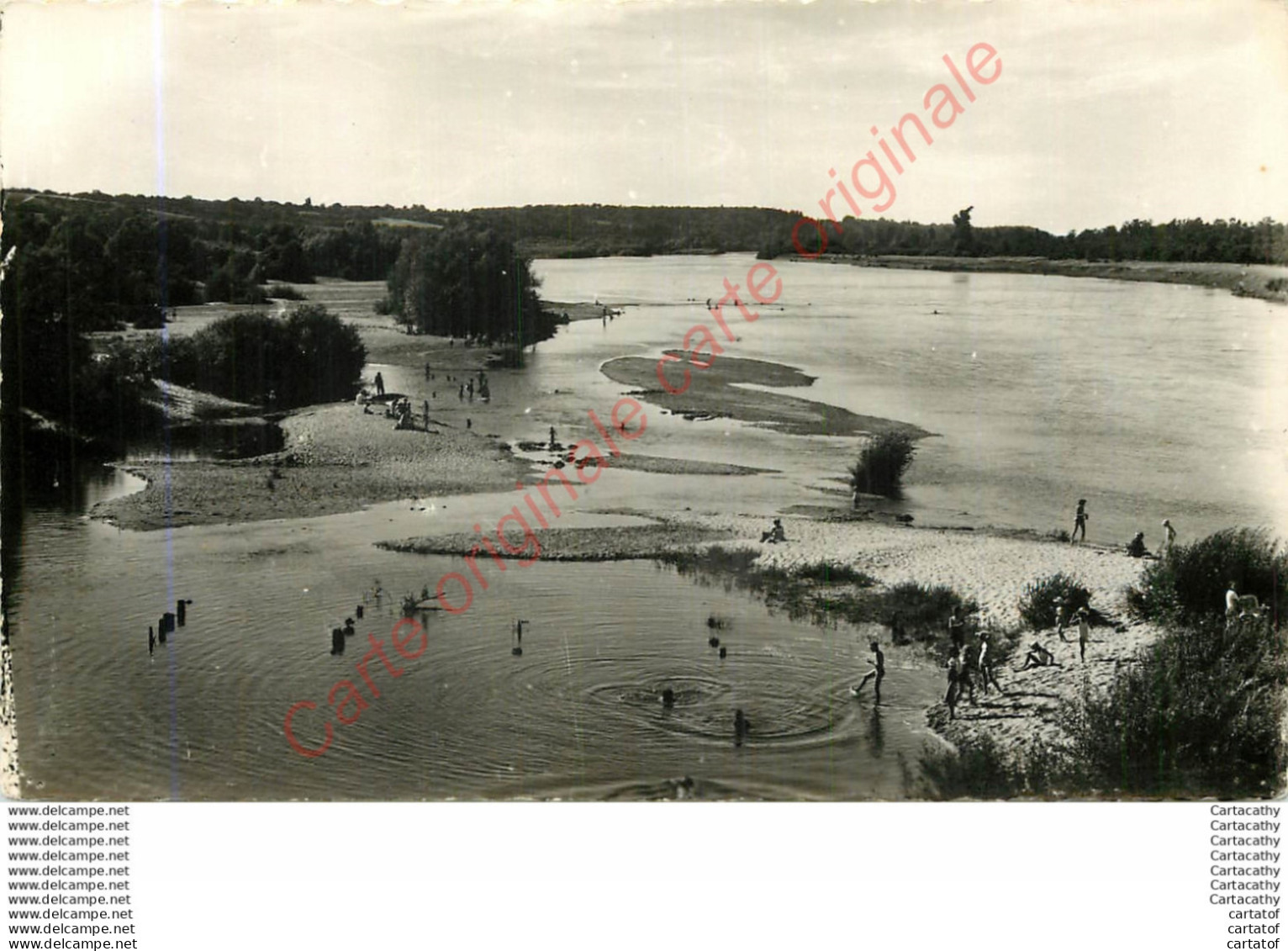 45.  CHATILLON Sur LOIRE .  La Plage . - Chatillon Sur Loire