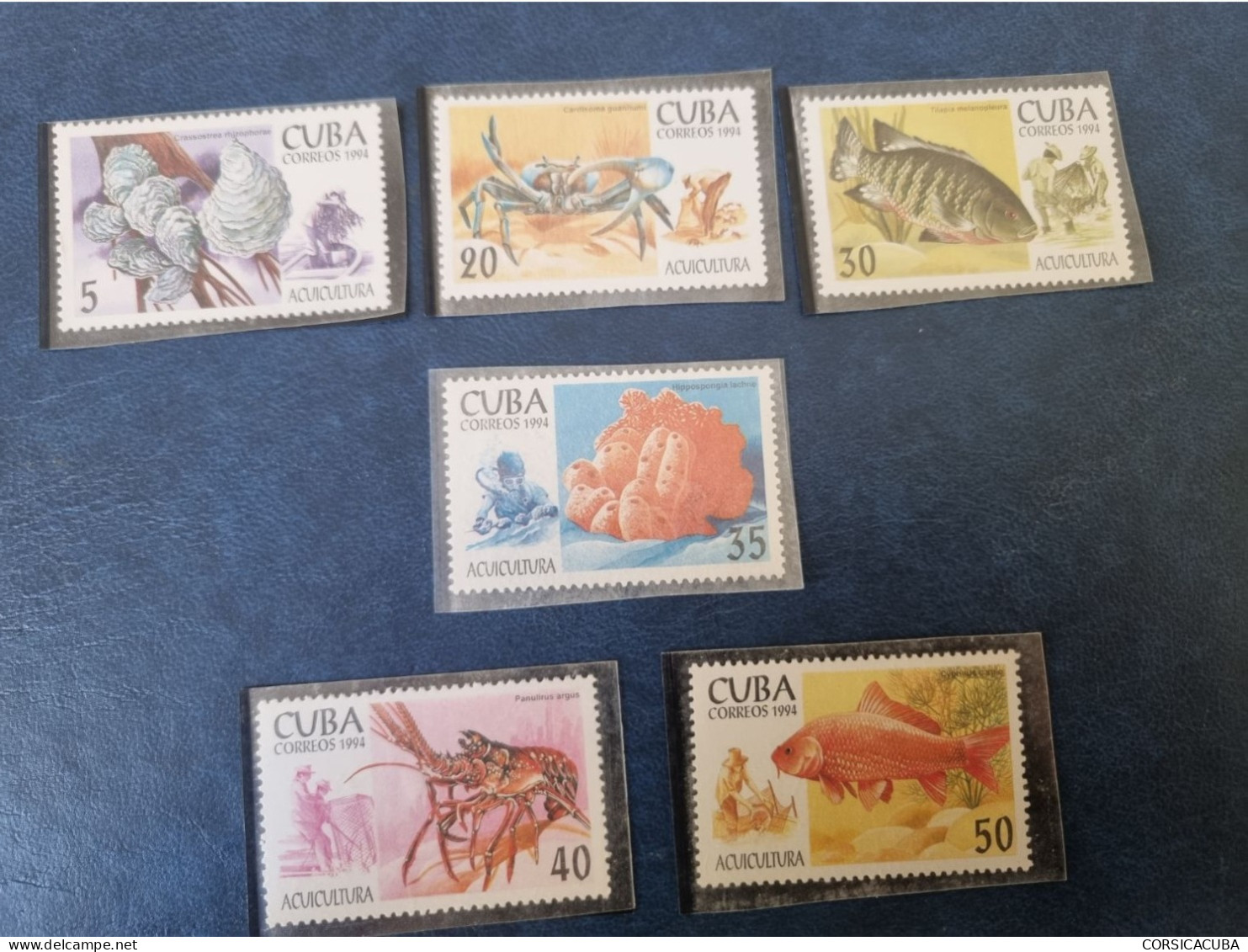 CUBA  NEUF  1994   ACUICULTURA   //  PARFAIT  ETAT  //  1er  CHOIX  // - Unused Stamps