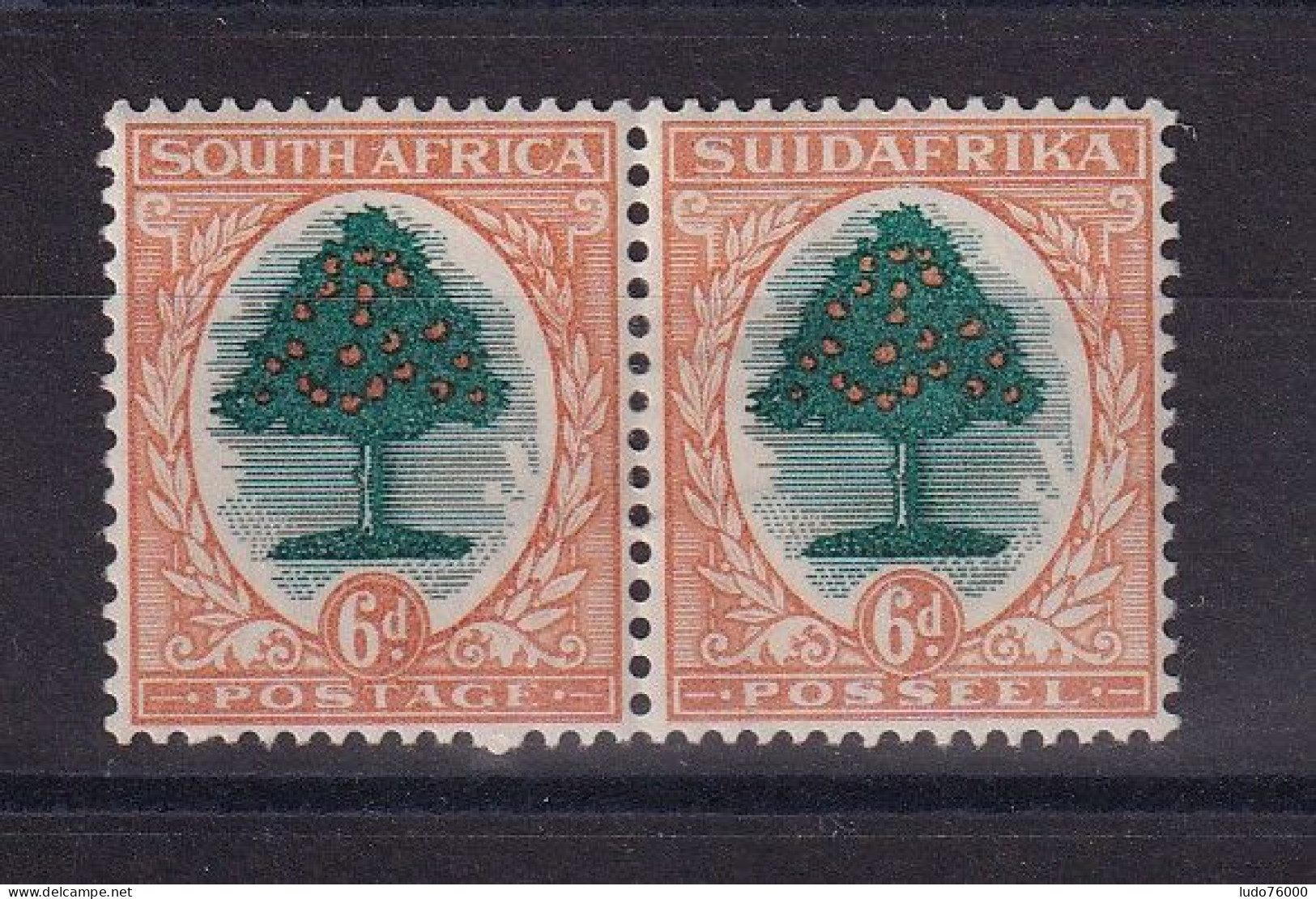 D 783 / AFRIQUE DU SUD / N° 43/52 PAIRE NEUF* - Ungebraucht