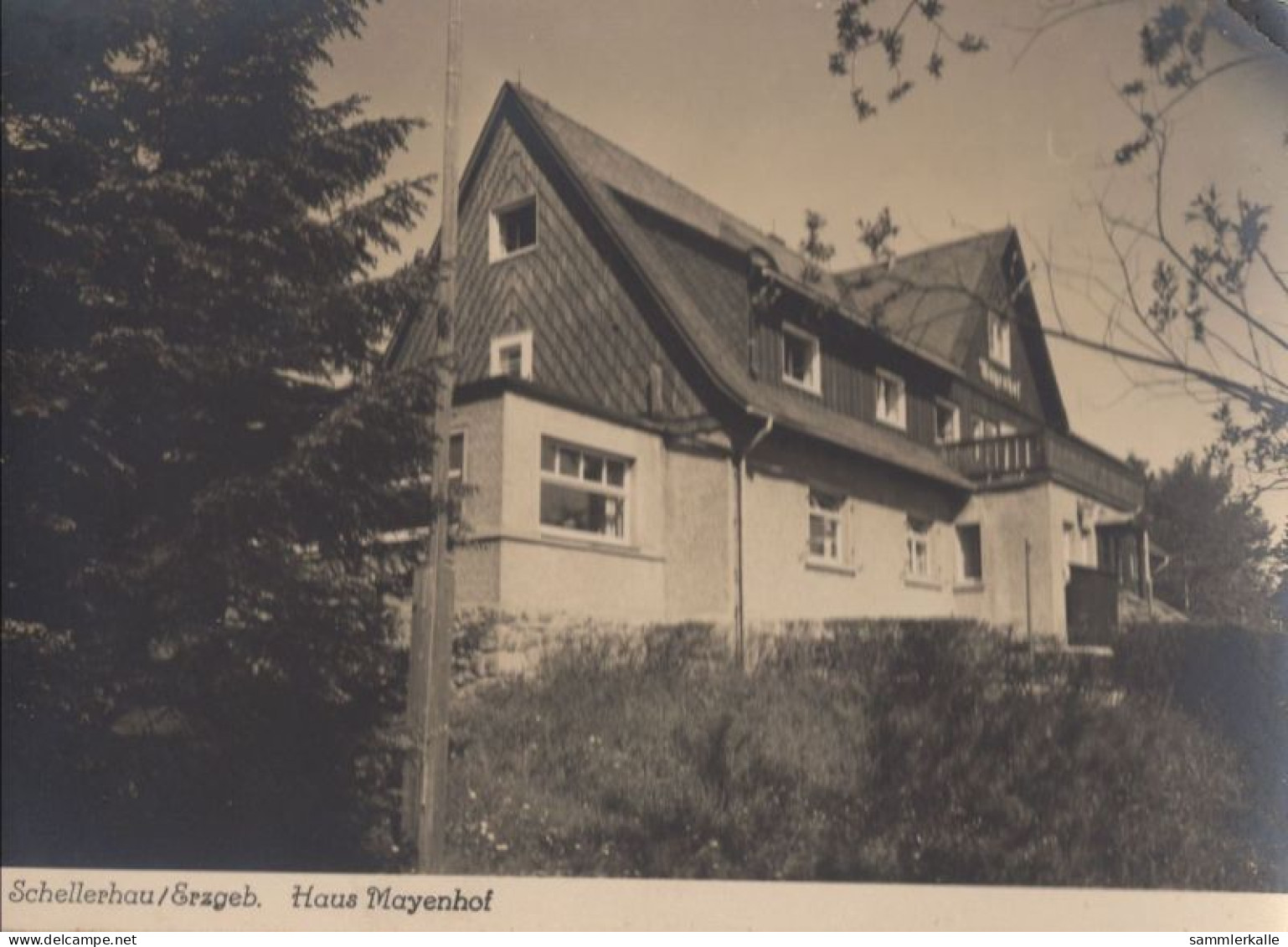 125248 - Altenberg-Schellerhau - Haus Mayenhof - Schellerhau