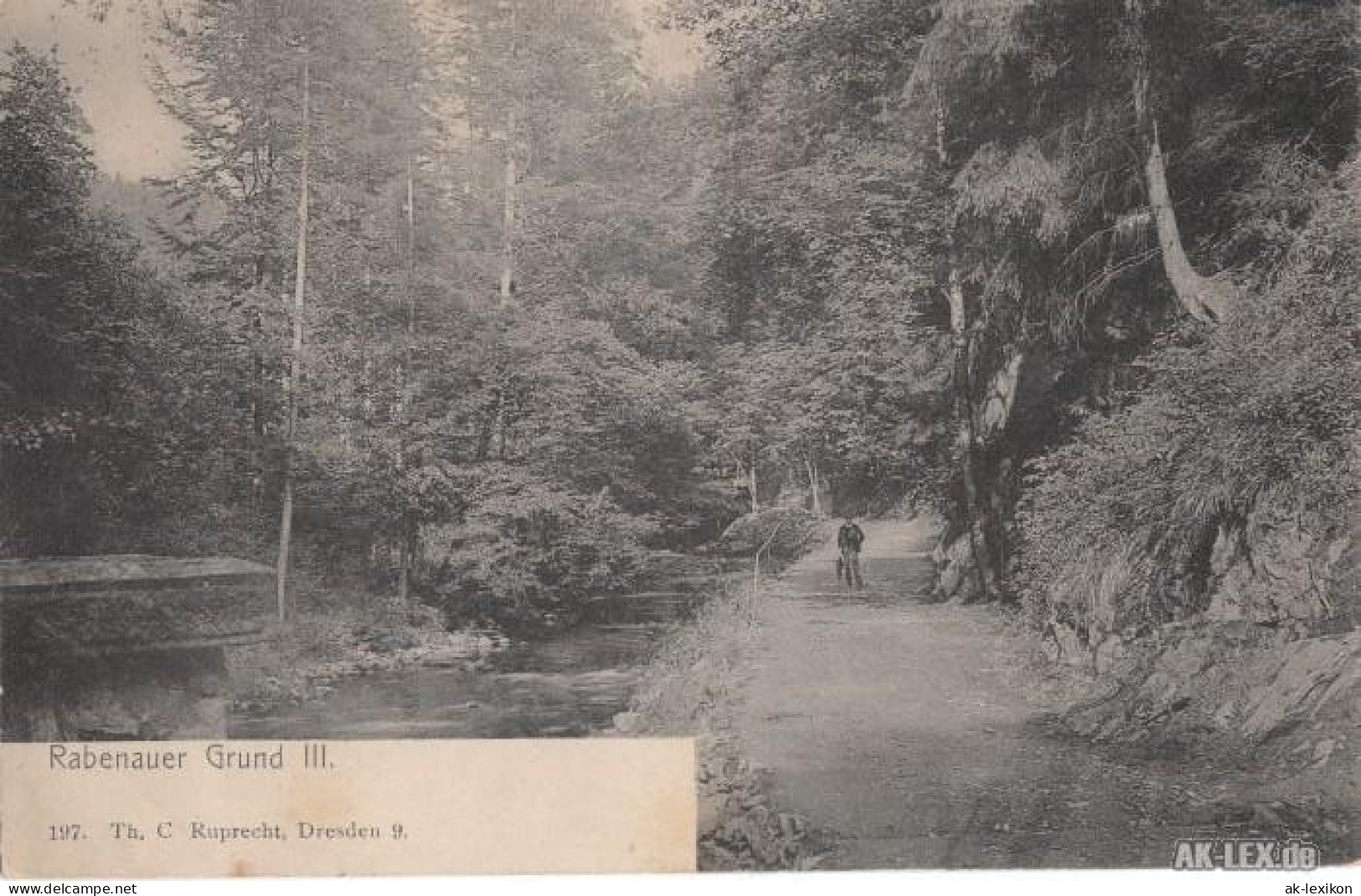 Ansichtskarte Rabenau Rabenauer Grund Gel. 1915 1915 - Rabenau