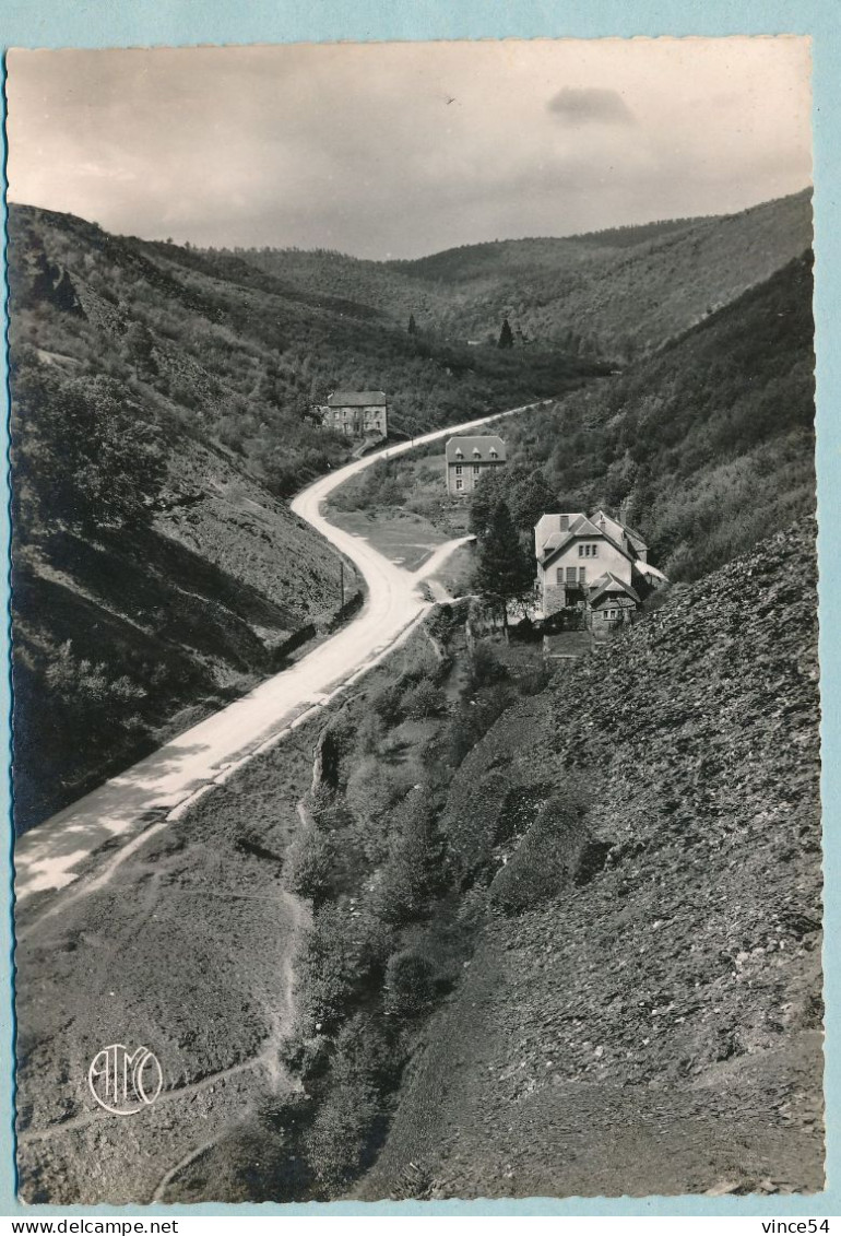 OIGNIES-CHESTION - La Vallée De L'Alise - Viroinval