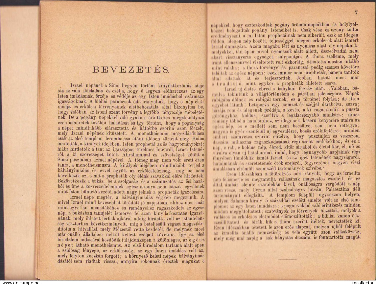 A Zsidó Nép és Irodalom Története A Babyloni Fogságtól Kezdve Mai Napig Irta Rabi Goldberg Raphael, 1883, Budapest 251SP - Old Books