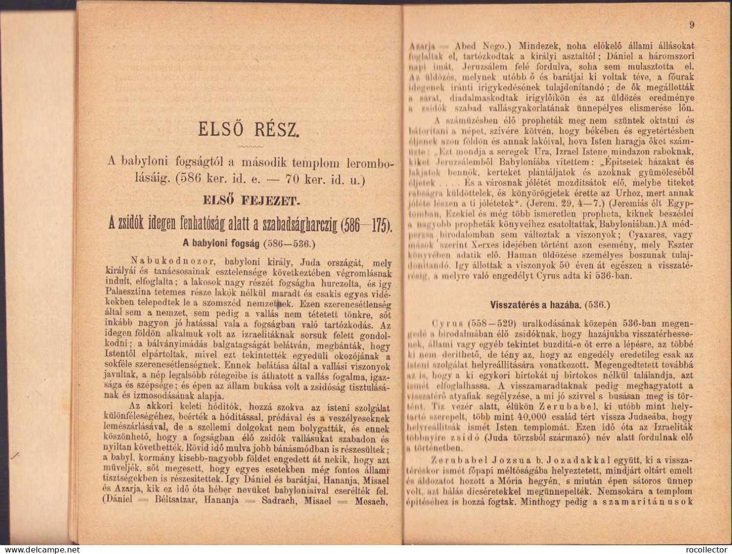 A Zsidó Nép és Irodalom Története A Babyloni Fogságtól Kezdve Mai Napig Irta Rabi Goldberg Raphael, 1883, Budapest 251SP - Old Books