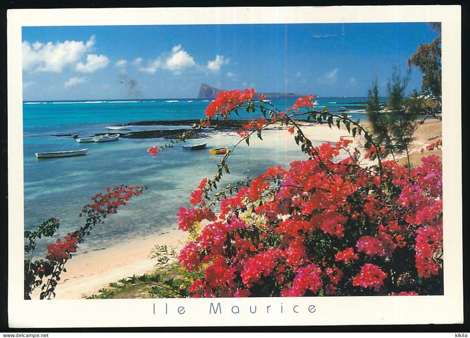 CPSM / CPM 10.5 X 15 ILE MAURICE (1) Bain Bœuf - Mauritius