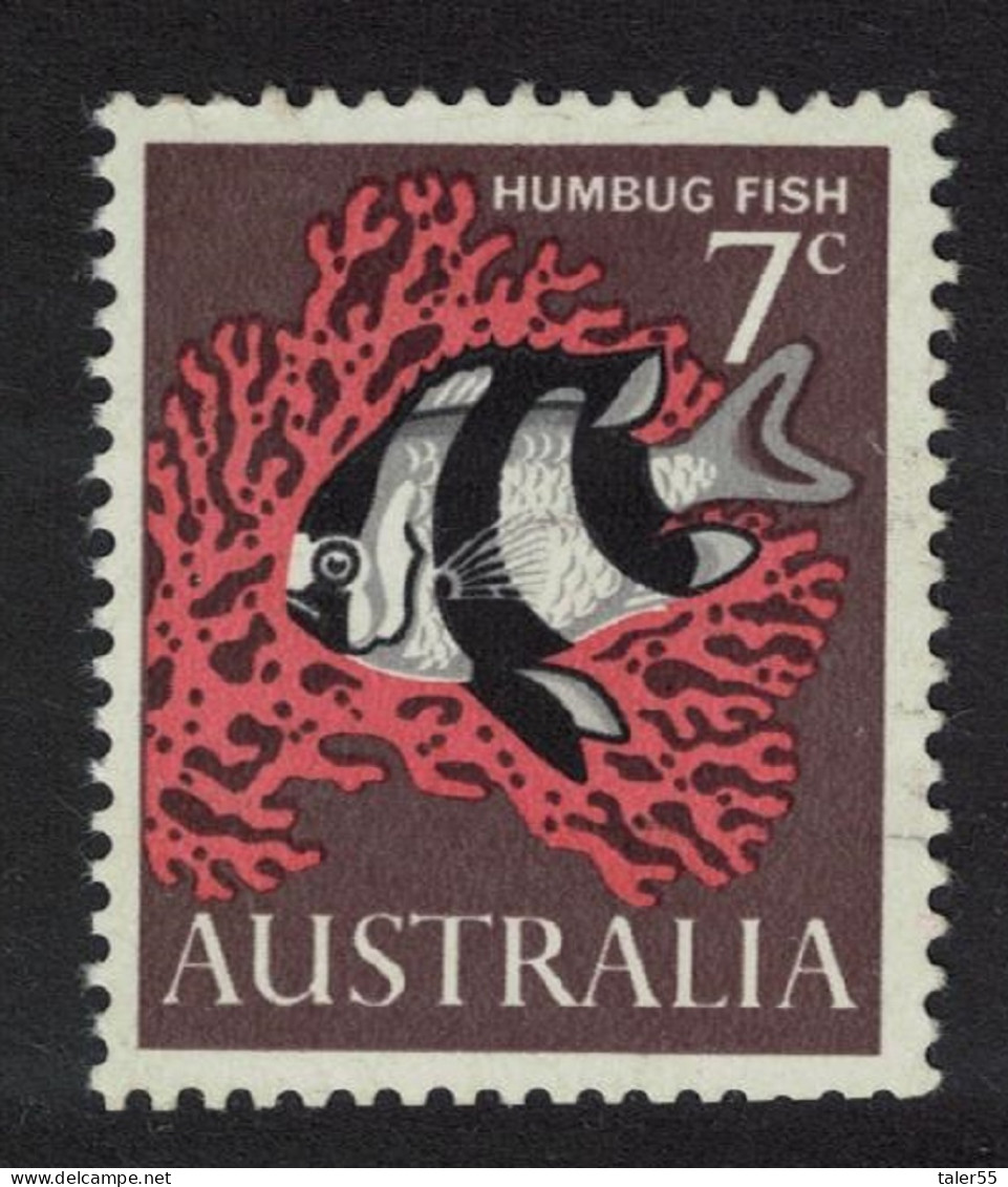 Australia White-tailed Dascyllus 'Humbug Fish' 1966 MNH SG#388 - Ungebraucht