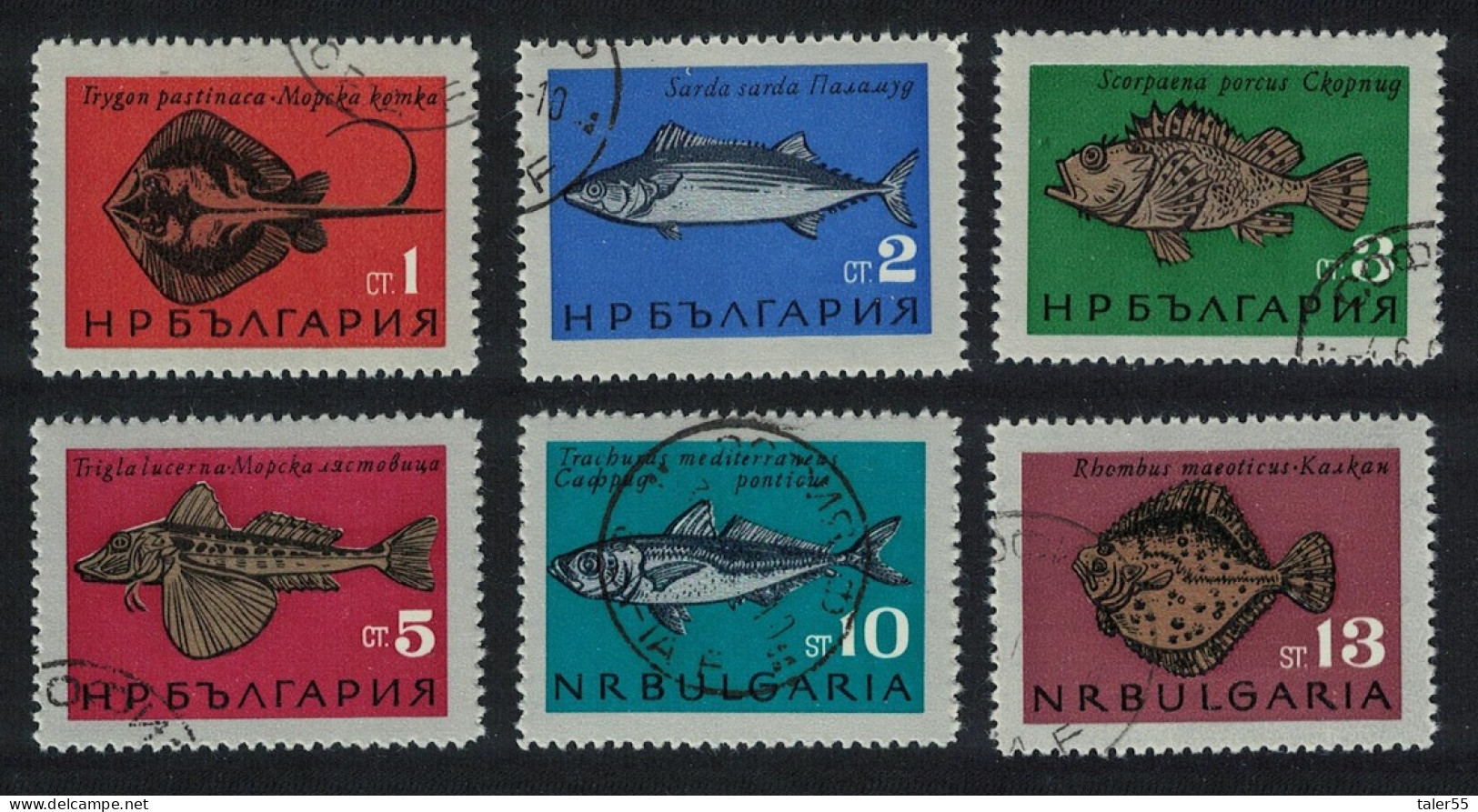 Bulgaria Fish 6v 1965 Canc SG#1530-1535 MI#1542-1547 - Used Stamps