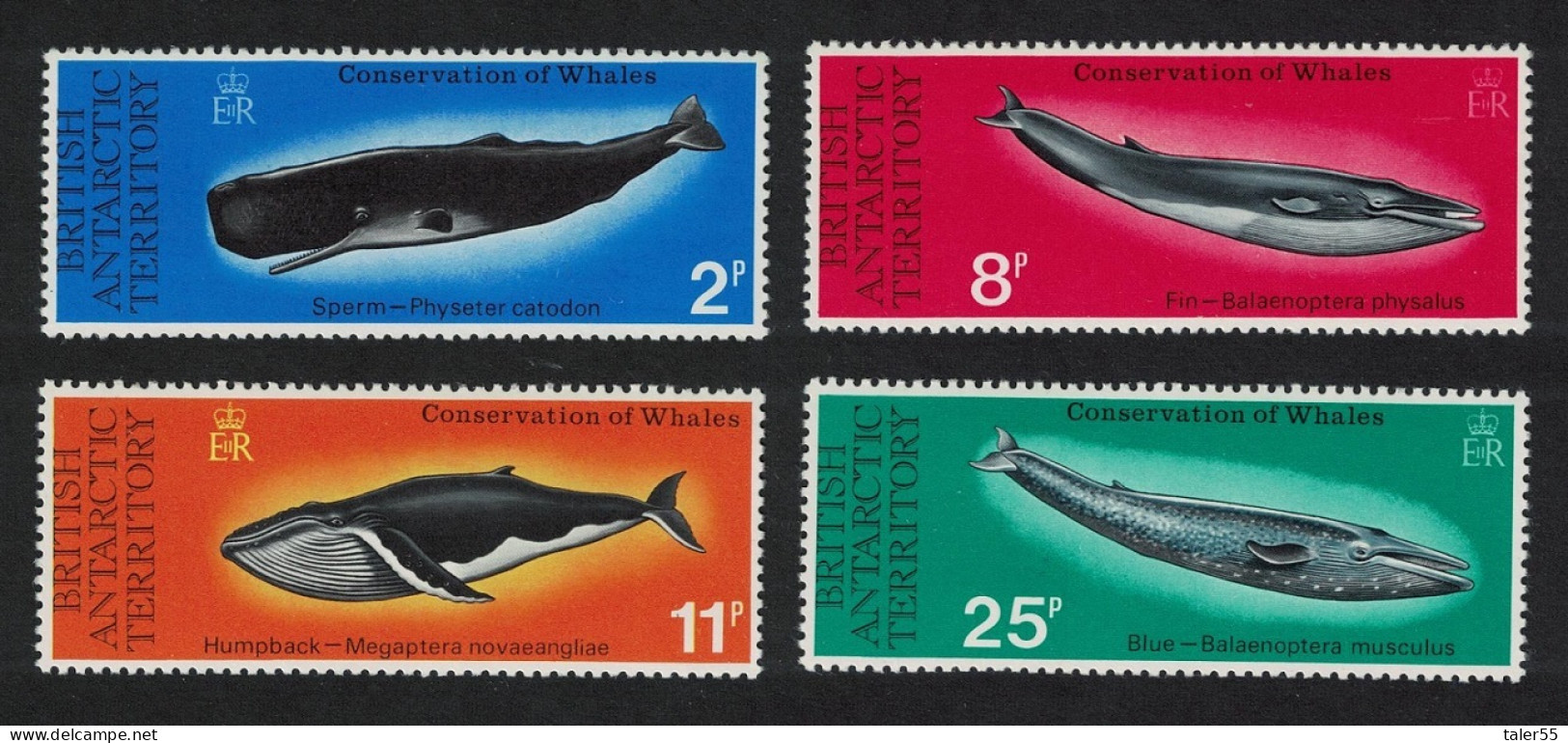 BAT Whale Conservation 4v 1977 MNH SG#79-82 - Neufs