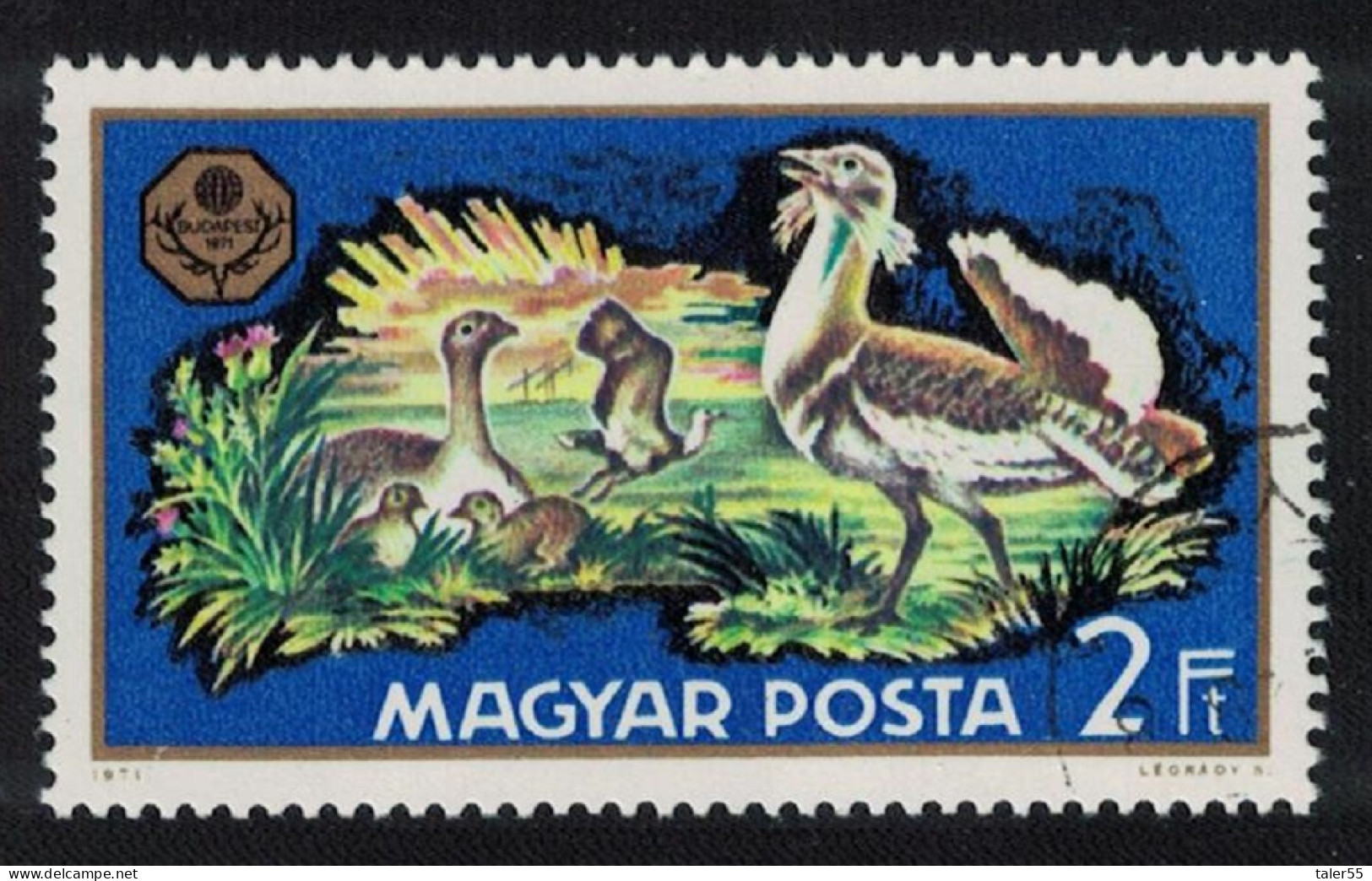Hungary Great Bustards With Young Birds 2Ft 1971 Canc SG#2588 Sc#2071 - Gebraucht