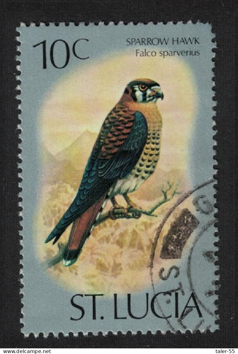 St. Lucia American Kestrel Sparrow Hawk Bird 10c 1976 Canc SG#421 - Ste Lucie (...-1978)