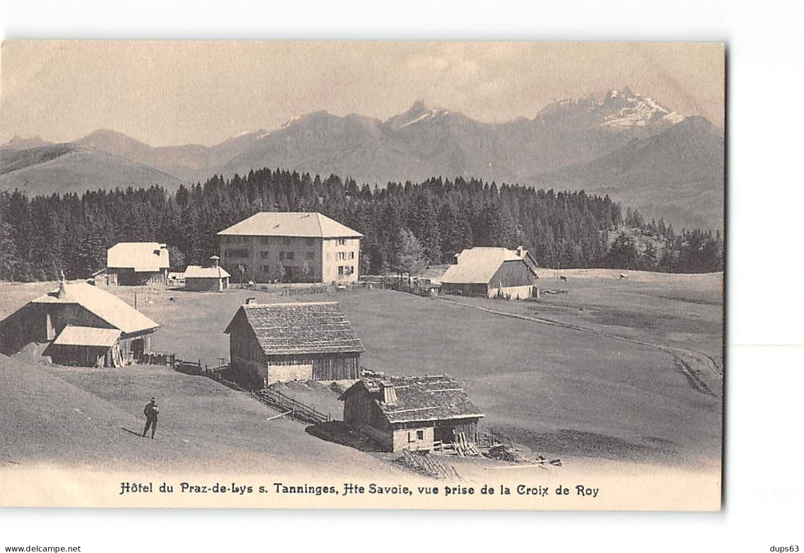 TANNINGES - Hôtel Du Praz Dde Lys - Très Bon état - Taninges