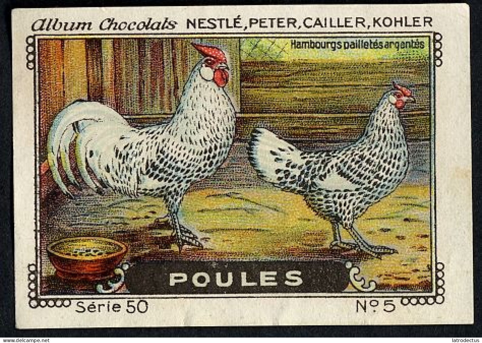 Nestlé - 50 - Poules, Chickens - 5 - Hambourgs Pailietés Argentés - Nestlé