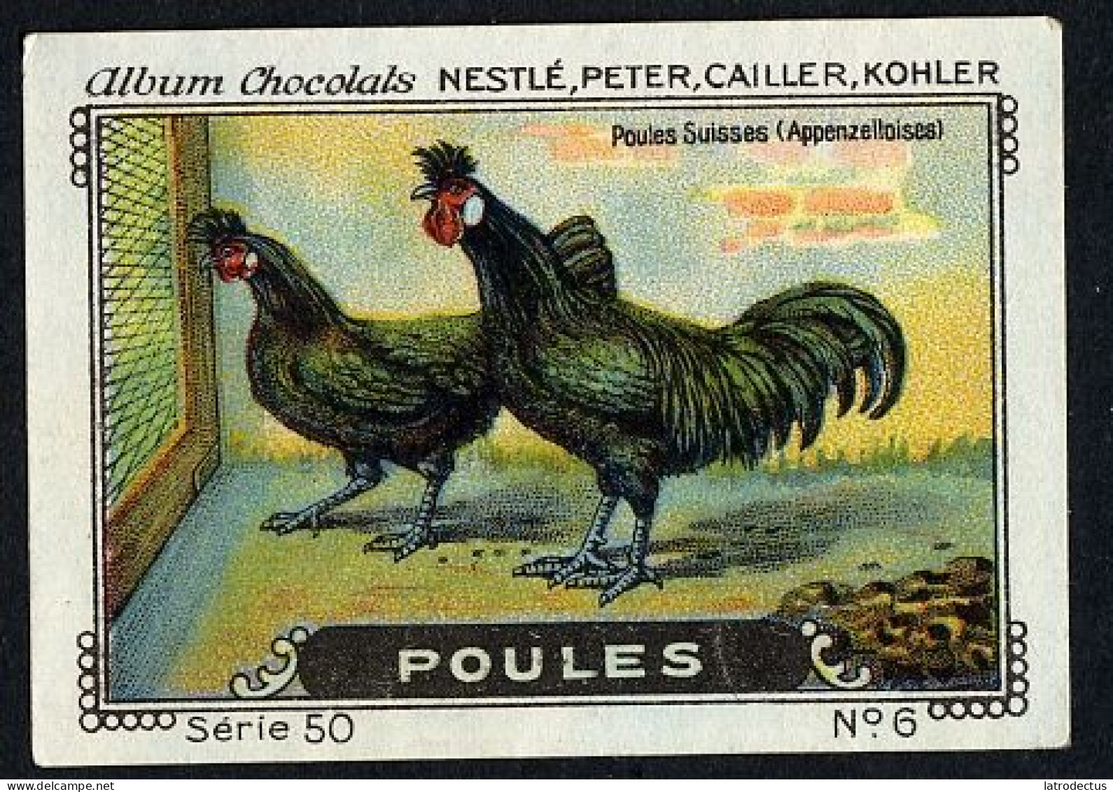 Nestlé - 50 - Poules, Chickens - 6 - Poules Suisses Appenzelloises - Nestlé