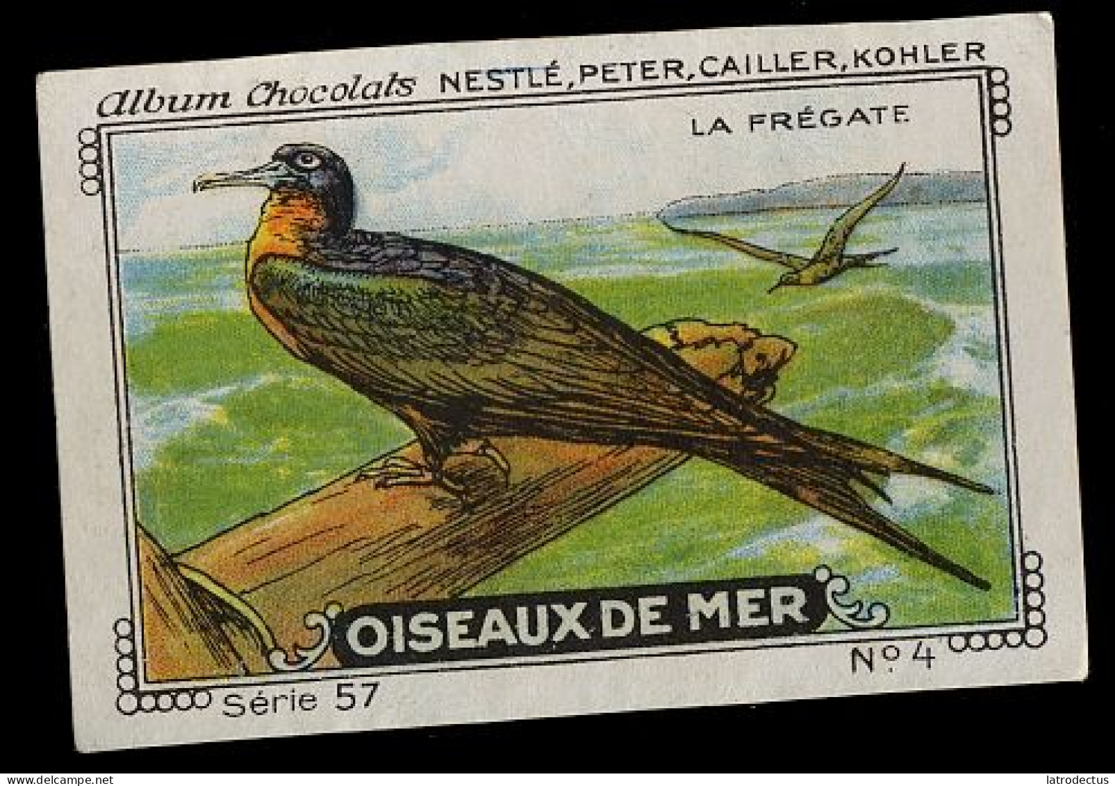 Nestlé - 57 - Oiseaux De Mer, Seabirds - 4 - La Frégate, Frigatebird - Nestlé