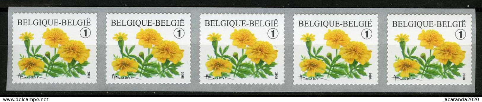 België R114 - Bloemen - Buzin (3824) - Tagetes Patula - Afrikaantje - 2008 - Strook Van 5 - Bande De 5 - Zonder Nummer - Coil Stamps