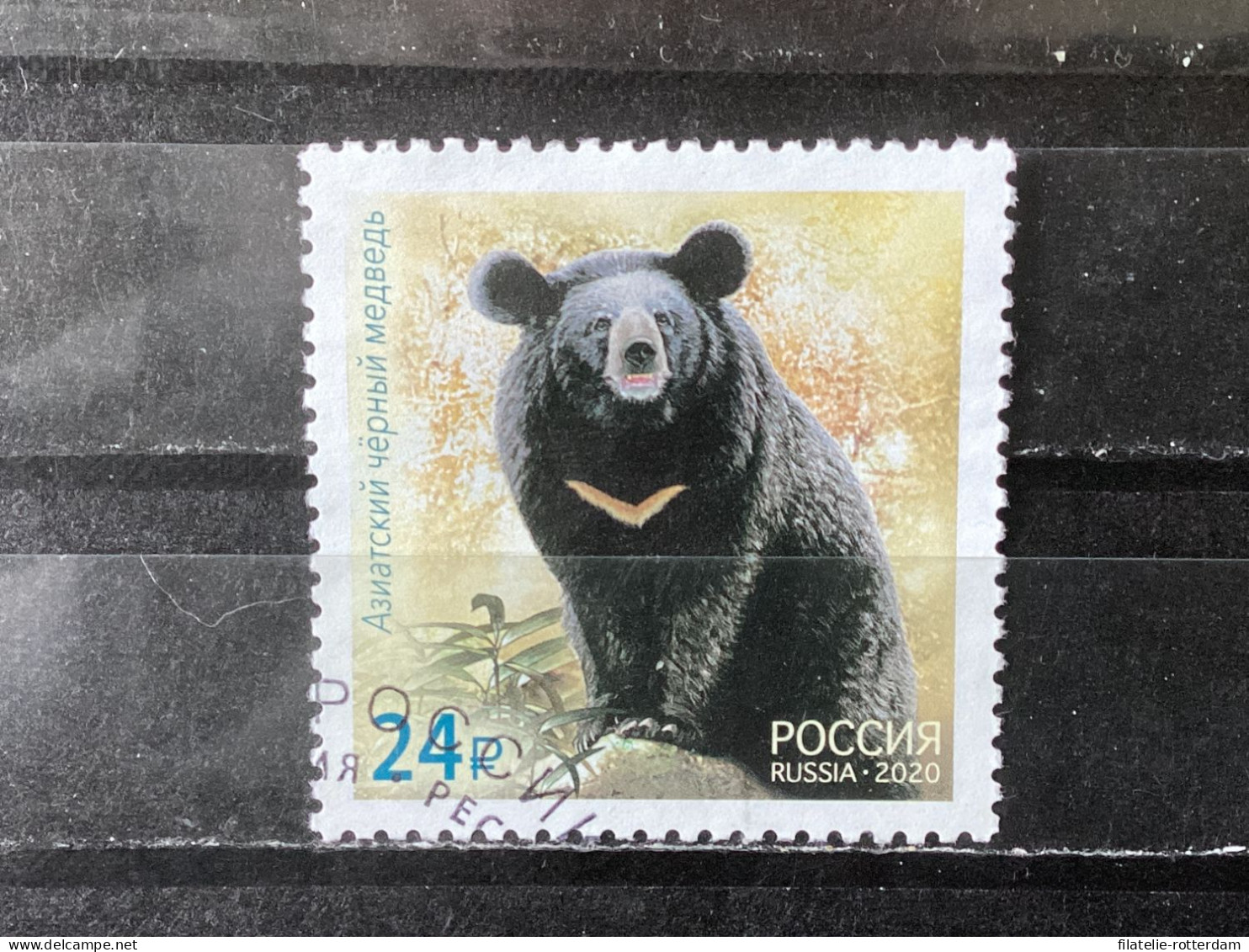 Russia / Rusland - Bears (24) 2020 - Used Stamps