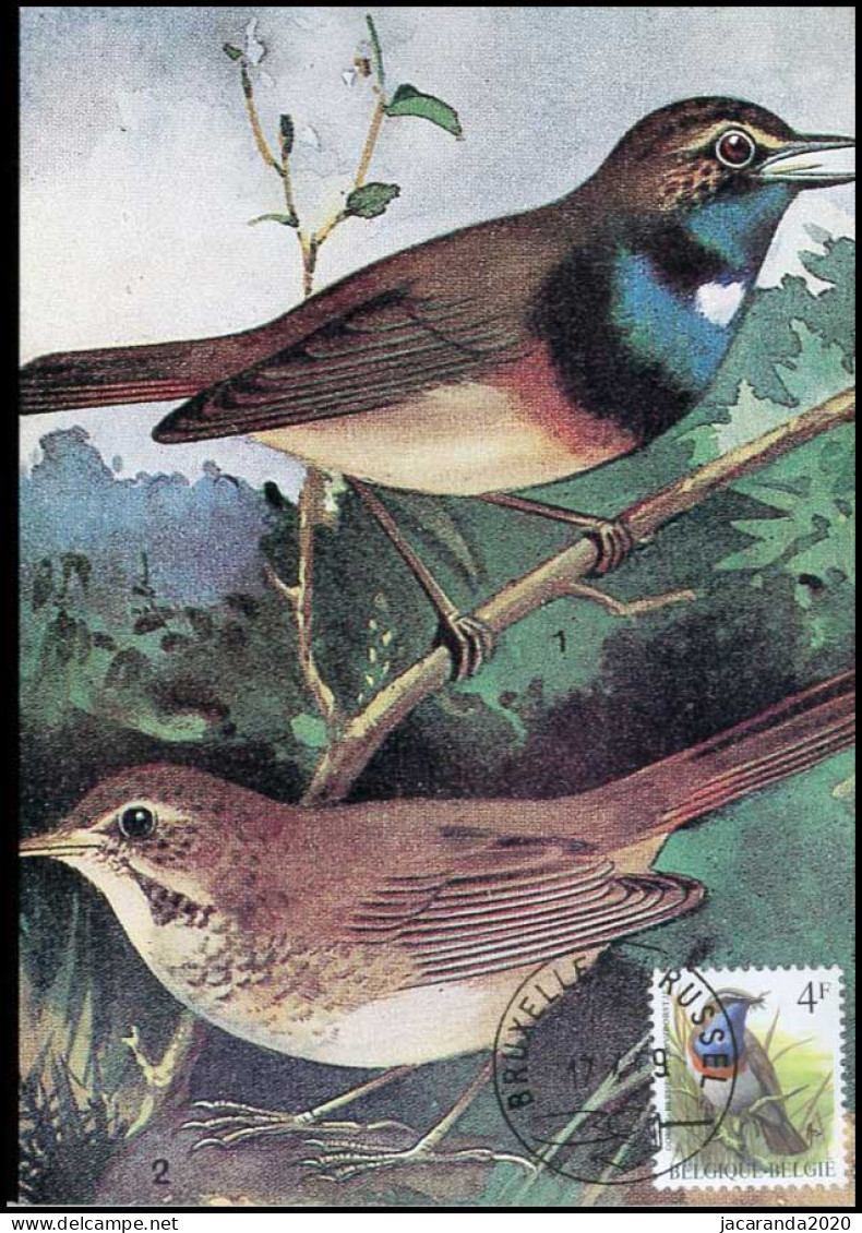 2321 - MK - Buzin : Vogels - Blauwborst #1 - 1981-1990