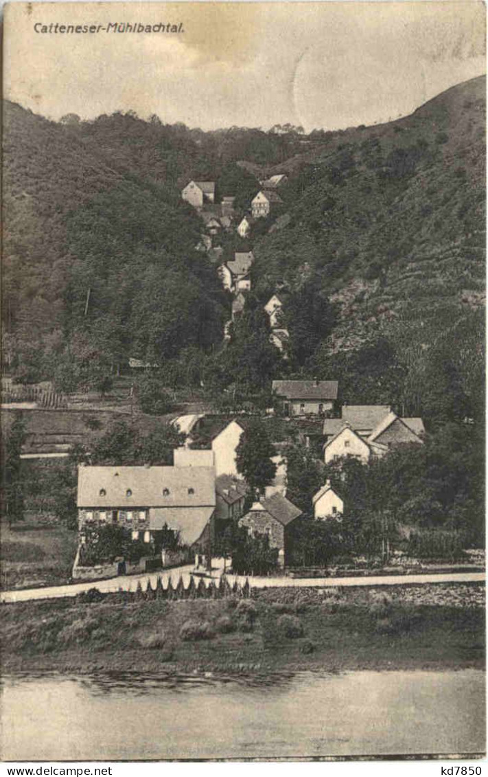 Catteneser Mühlbachtal - Brodenbach - Mayen