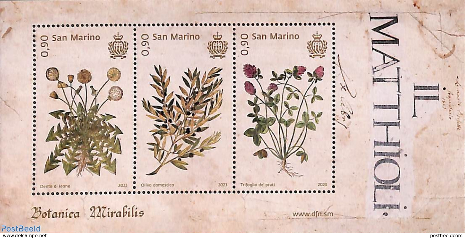 San Marino 2023 Flora S/s, Mint NH, Nature - Flowers & Plants - Unused Stamps