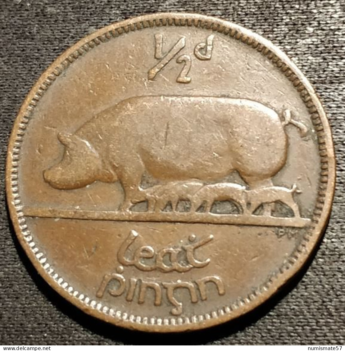 IRLANDE - EIRE - ½ - 1/2 PINGIN 1928 - KM 2 - PENNY - Cochon - Pig - IRELAND - Irland