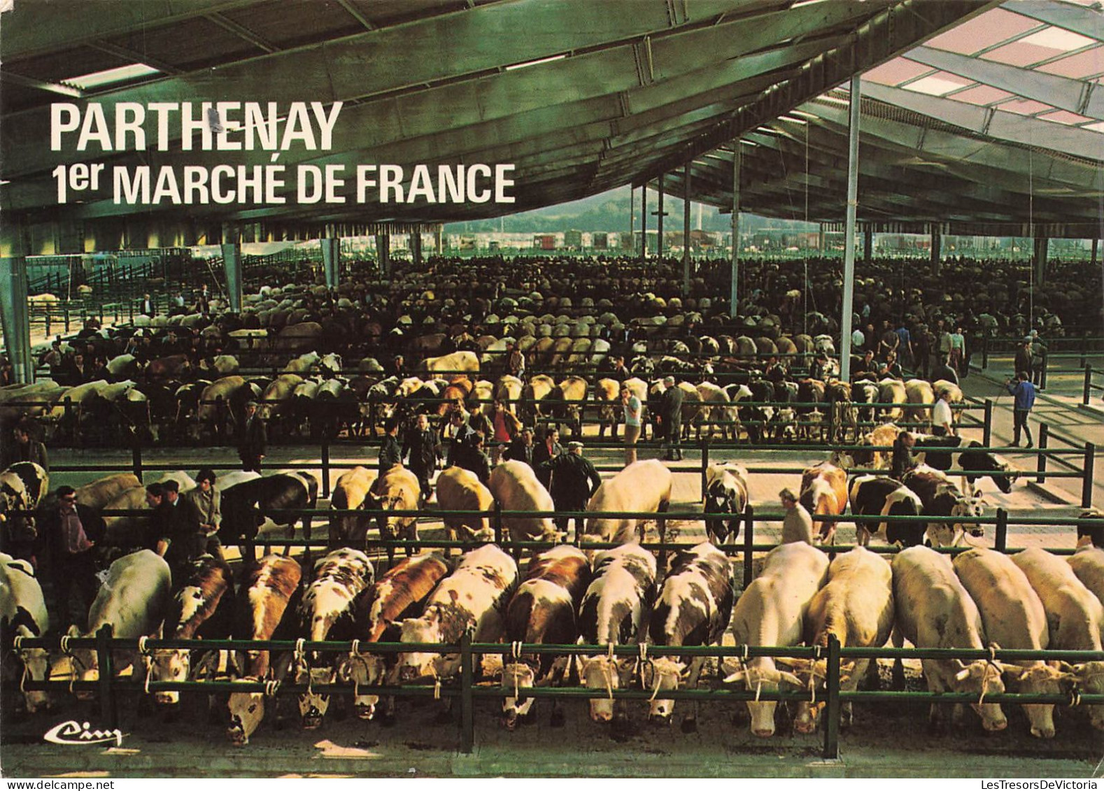 FRANCE - Parthenay - Le Champ De Foire - Marchés Aux Bestiaux - Carte Postale - Parthenay