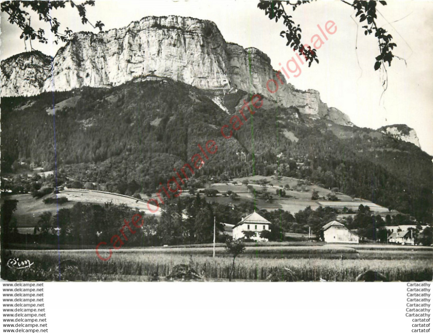 74.  DINGY SAINT-CLAIR .  Hôtel Du Parmelan Et La Tête Turpin . - Dingy-Saint-Clair