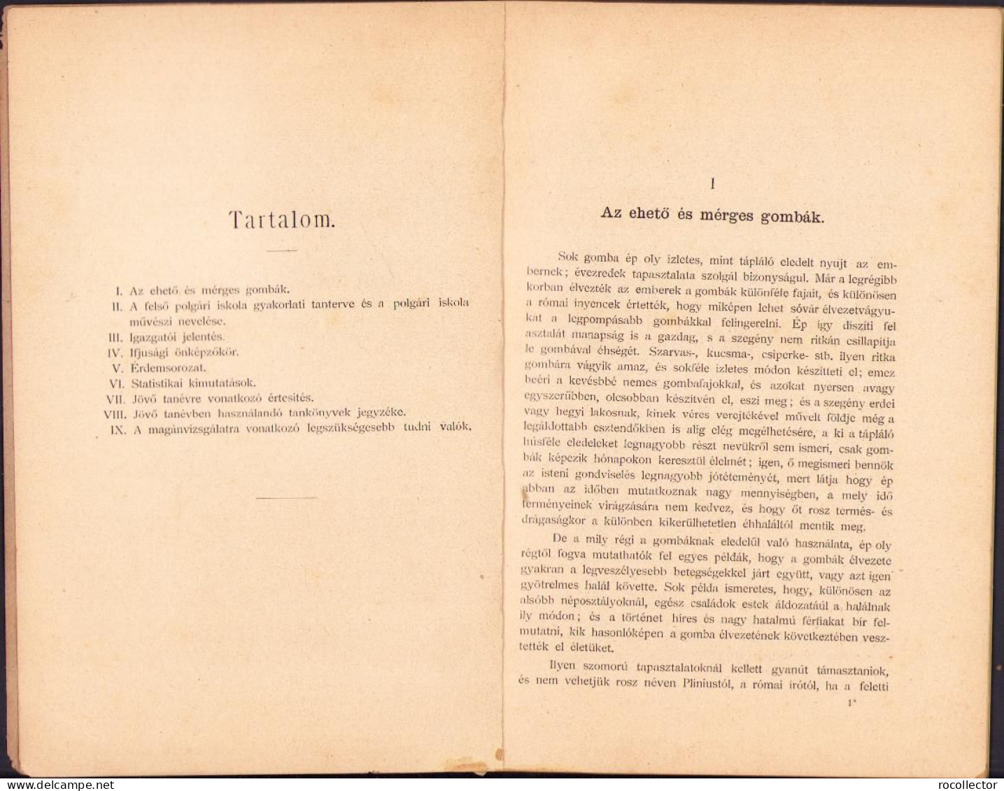 A Karánsebesi állami Elemi Fiú és Leányiskola értésitője Az 1902-1903 Iskolai évről C1402 - Old Books