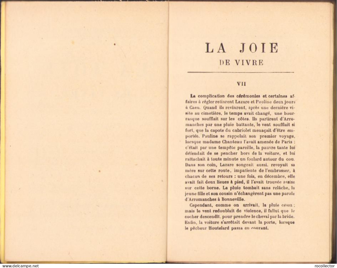 La Joie De Vivre De Emile Zola, Tome I + II, Paris C1329 - Old Books