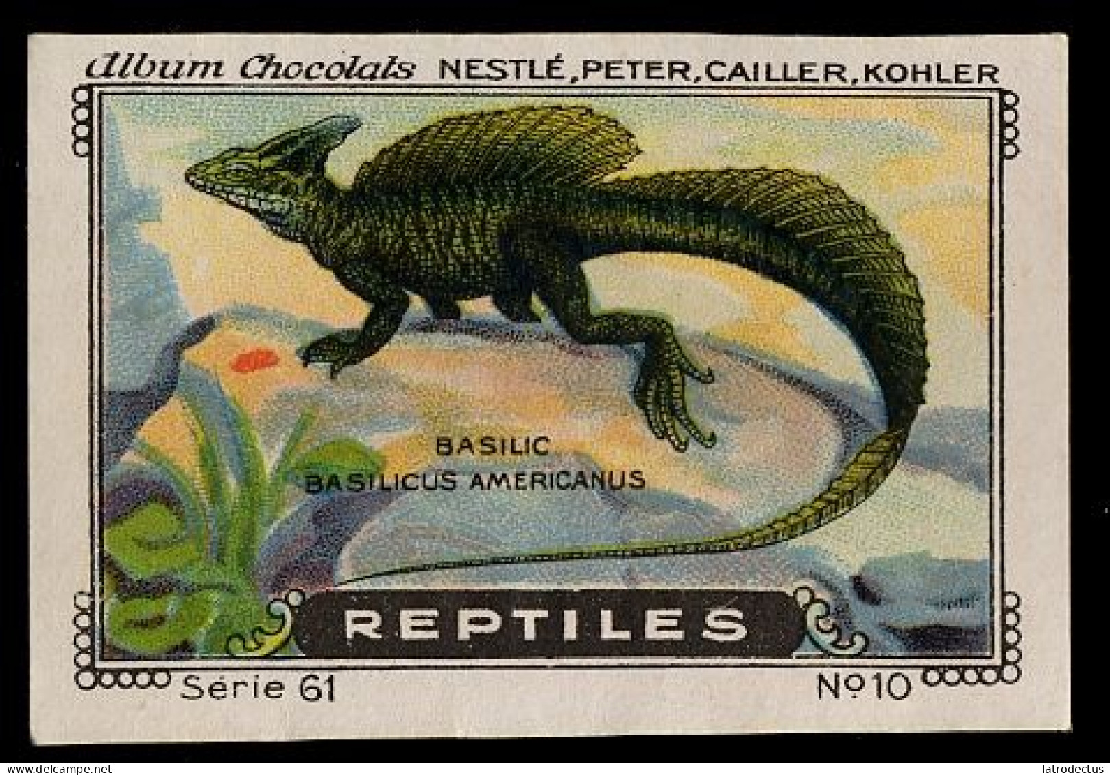 Nestlé - 61 - Reptiles - 10 - Basilic, Basiliscus Basiliscus, Common Basilisk - Nestlé