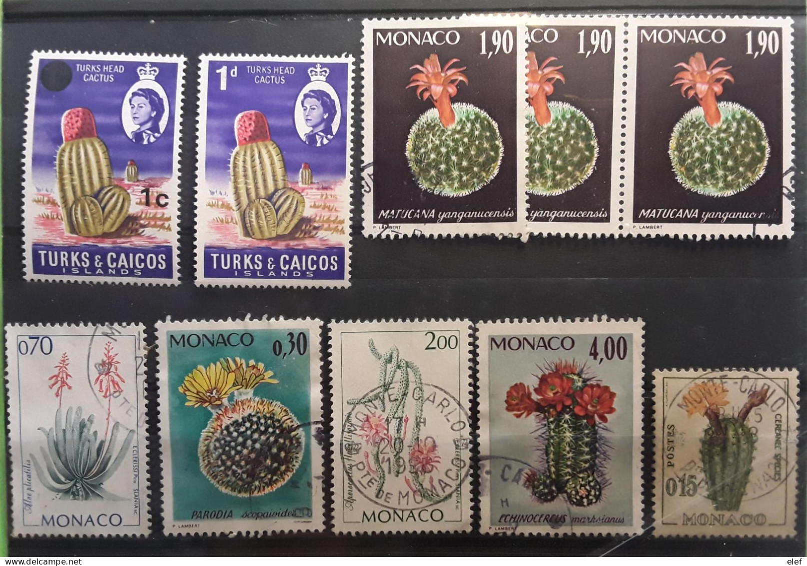 CACTUS , Lot De 10 Timbres Neufs ** MNH / O De Monaco Et Turks & Caicos , TB - Cactussen