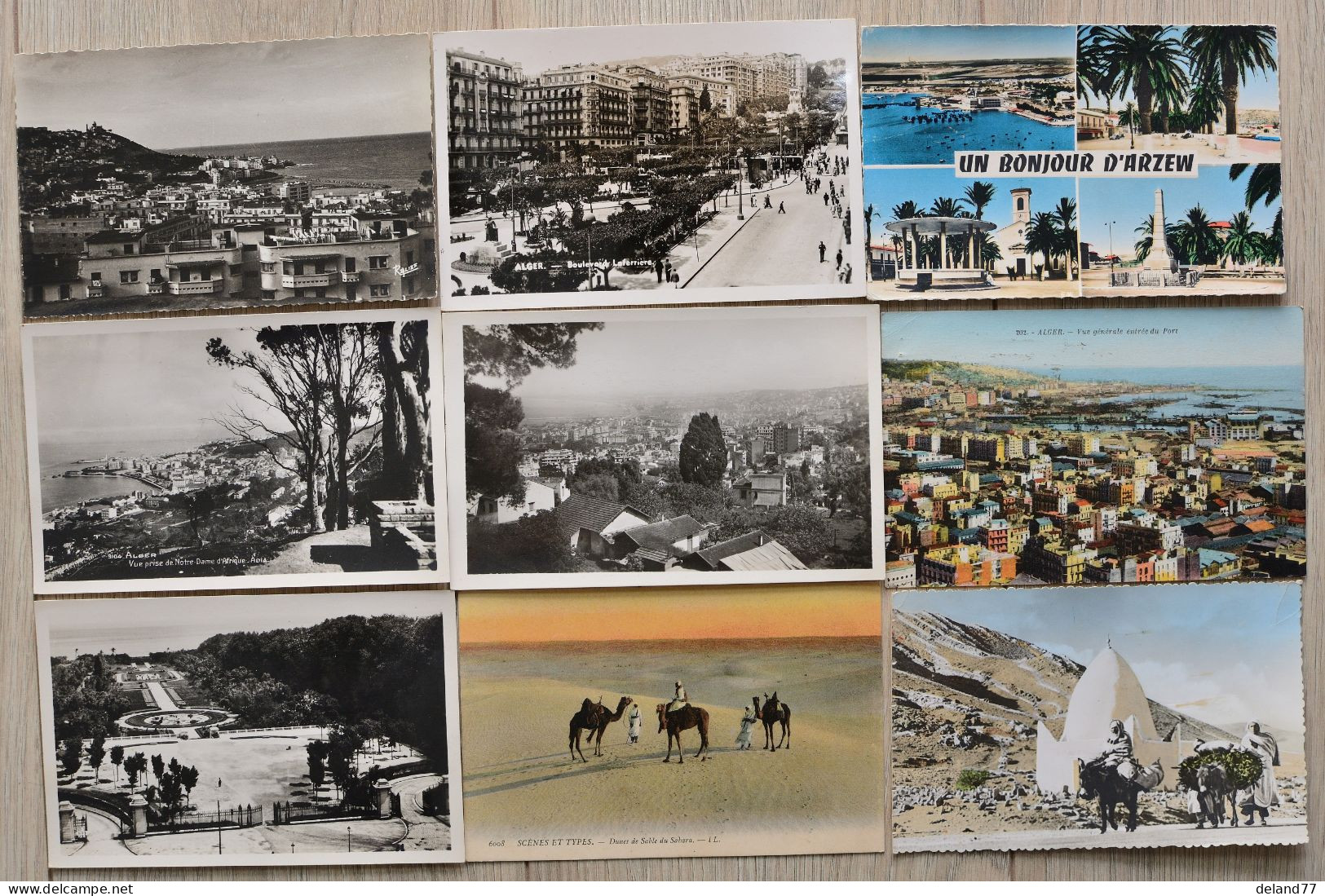 ALGERIE - LOT De 38 Cartes Postales Divers - Collections & Lots