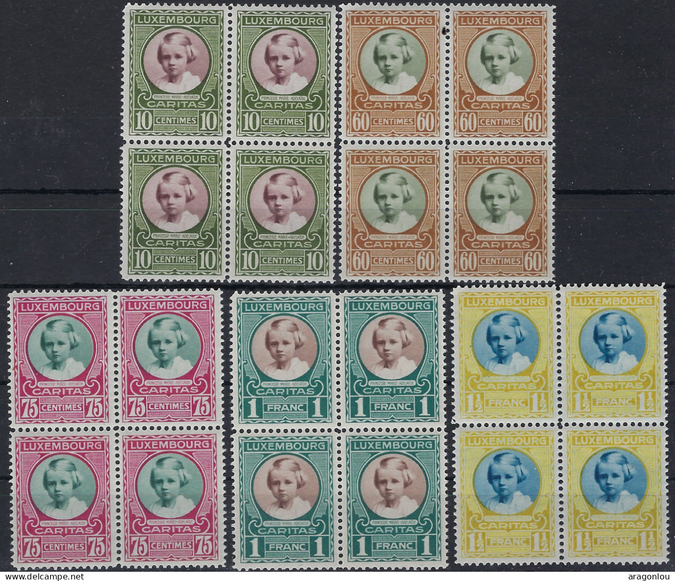 Luxembourg - Luxemburg - Timbres - 1928   Caritas   Princesse Marie-Adélaïde  Série   Blocs à 4   MNH** - Blocchi & Foglietti