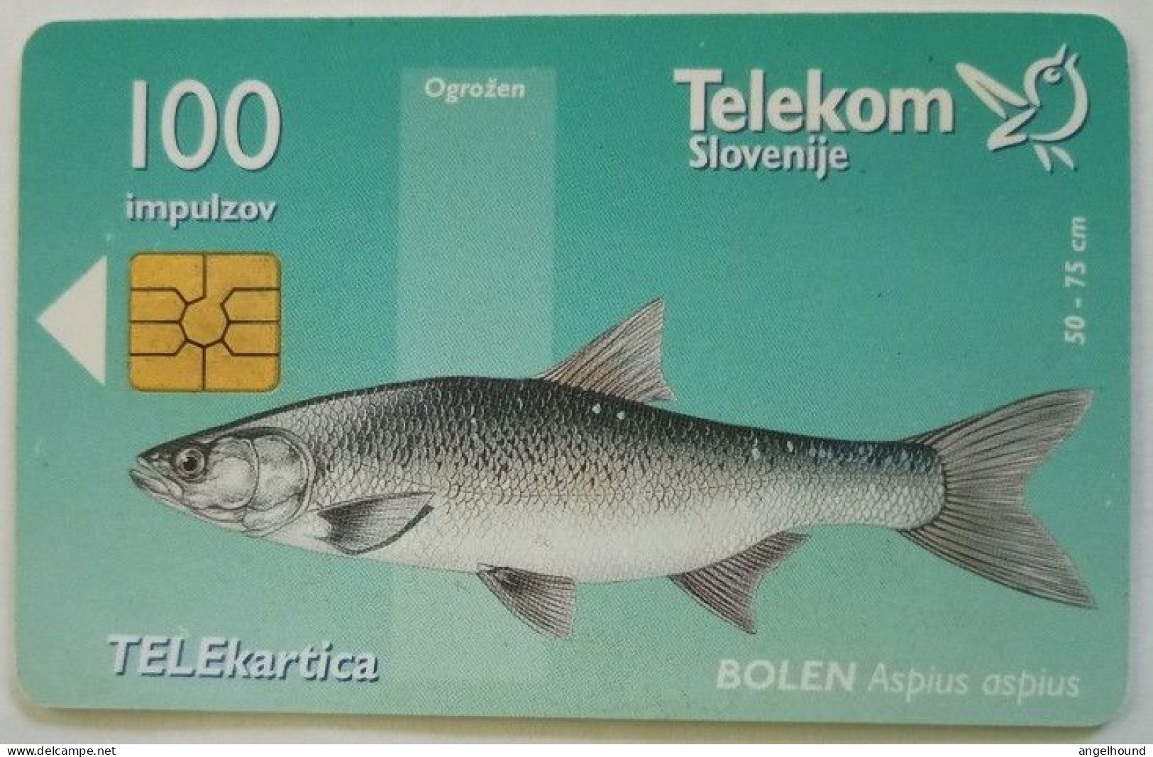 Slovenia 100 Unit Chip Card - Bolen / Mura V Vasi  Krog - Slovenia