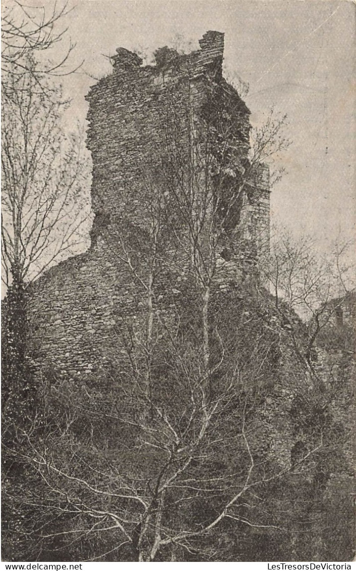 FRANCE - Chalumet - Château De Chalumet - Ruines - Carte Postale Ancienne - Cours-la-Ville