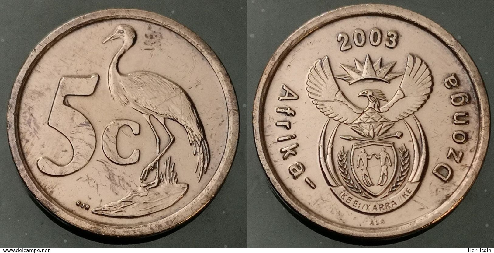 Monnaie Afrique Du Sud - 2003  - 5 Cents En Tsonga - AFRIKA DZONGA - Afrique Du Sud